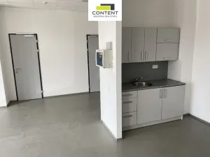 Pronájem skladu, Hradec Králové - Slezské Předměstí, Bratří Štefanů, 367 m2