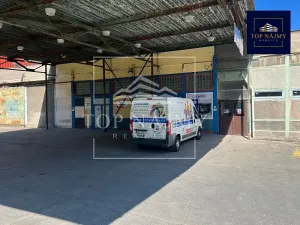 Pronájem skladu, Ostrava, Novinářská, 500 m2