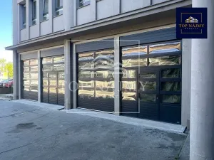 Pronájem skladu, Ostrava, Novinářská, 236 m2