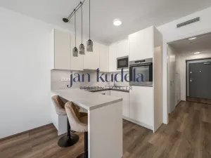 Pronájem bytu 1+kk, Brno - Komín, Bystrcká, 33 m2