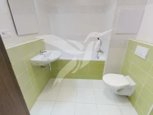 Pronájem bytu 2+kk, Plzeň, Poděbradova, 44 m2