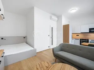 Pronájem bytu 1+kk, Praha - Karlín, Pobřežní, 35 m2