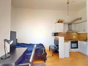 Pronájem bytu 1+kk, Olomouc, Wolkerova, 31 m2