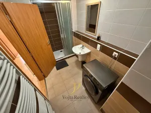 Pronájem bytu 1+kk, Olomouc, Wolkerova, 31 m2