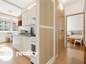 Prodej bytu 1+1, Hodonín, Brandlova, 41 m2
