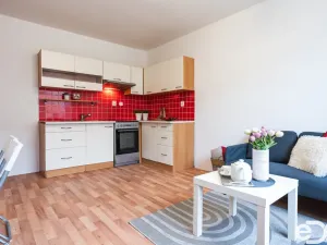Pronájem bytu 2+kk, Borohrádek, Družstevní, 31 m2