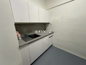 Pronájem kanceláře, Brno, Vídeňská, 600 m2