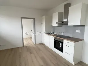 Pronájem bytu 2+1, České Budějovice - České Budějovice 4, Rudolfovská tř., 50 m2