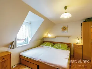 Prodej chalupy, Prušánky, Nechory, 80 m2