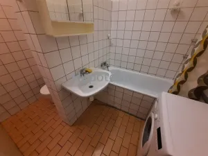 Pronájem bytu 1+kk, Ústí nad Labem - Klíše, Palachova, 40 m2