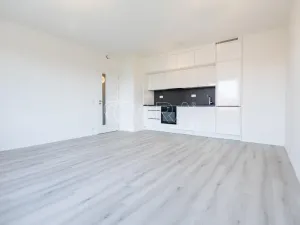 Pronájem bytu 2+kk, Praha - Kamýk, Hodkovická, 50 m2