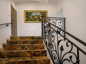 Prodej vícegeneračního domu, Velké Popovice - Brtnice, Na Dlaskově, 486 m2