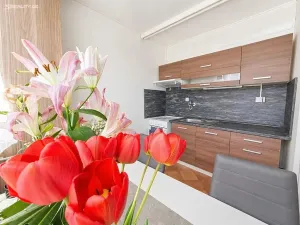 Pronájem bytu 1+1, Jihlava, Březinova, 33 m2