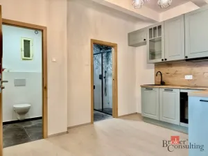 Pronájem bytu 2+1, Praha - Košíře, Plzeňská, 58 m2