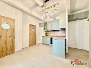 Pronájem bytu 2+1, Praha - Košíře, Plzeňská, 58 m2