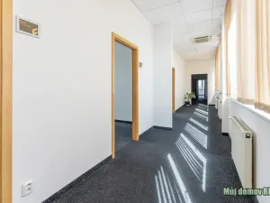 Pronájem kanceláře, Praha - Strašnice, V olšinách, 50 m2