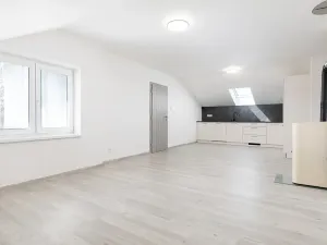 Prodej rodinného domu, Dobroslavice, 27. dubna, 342 m2