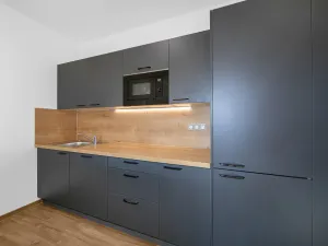 Pronájem bytu 1+kk, Plzeň - Severní Předměstí, Bolevecká, 55 m2