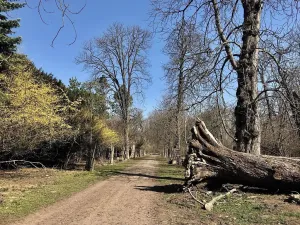 Pronájem bytu 1+kk, Sokolnice, Zámecká, 38 m2