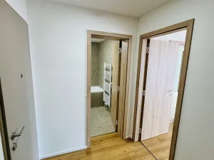Pronájem bytu 2+kk, Brandýs nad Labem-Stará Boleslav, Dřevčická, 55 m2