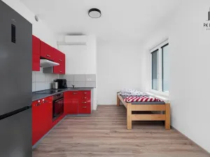 Pronájem bytu 2+kk, Brno, Křenová, 41 m2