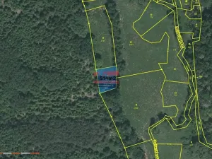 Prodej pole, Chotoviny, 48752 m2