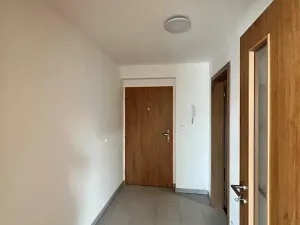 Pronájem bytu 2+kk, Plzeň, Vochovská, 43 m2