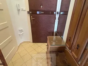 Pronájem bytu 1+kk, Praha - Nusle, U křížku, 28 m2
