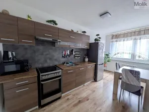 Pronájem bytu 3+1, Krupka - Maršov, Dukelských hrdinů, 68 m2