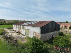 Prodej skladu, Valtice, Mikulovská, 600 m2