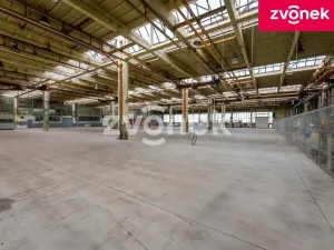 Pronájem výrobních prostor, Holešov, 2800 m2