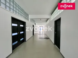 Pronájem výrobních prostor, Holešov, 2800 m2