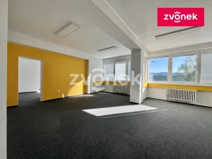 Pronájem výrobních prostor, Holešov, 2800 m2