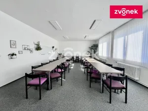 Pronájem výrobních prostor, Holešov, 2800 m2