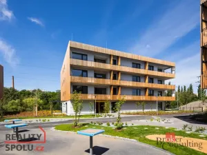 Pronájem bytu 1+kk, Plzeň - Východní Předměstí, Kartónová, 38 m2