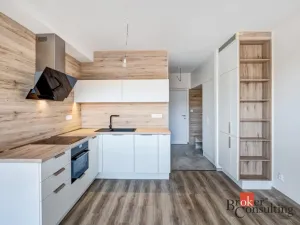 Pronájem bytu 1+kk, Plzeň - Východní Předměstí, Kartónová, 38 m2