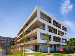 Pronájem bytu 4+kk, Plzeň - Východní Předměstí, Kartónová, 114 m2