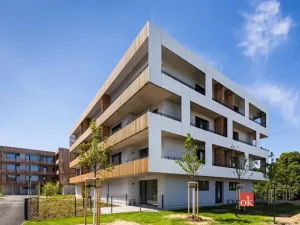 Pronájem bytu 4+kk, Plzeň - Východní Předměstí, Kartónová, 114 m2