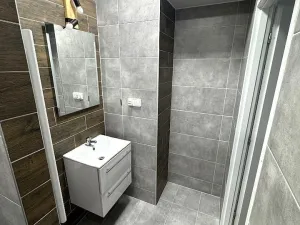 Pronájem bytu 2+1, Plzeň - Východní Předměstí, Úslavská, 64 m2