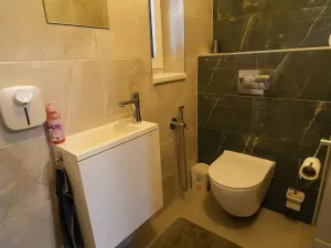 Prodej rodinného domu, Varnsdorf, Plzeňská, 216 m2