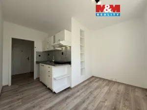 Pronájem bytu 1+1, Karviná - Ráj, Borovského, 42 m2