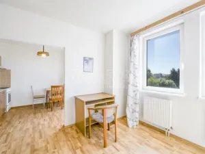 Pronájem bytu 1+kk, Klatovy - Klatovy III, Luční, 47 m2