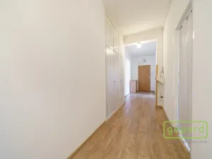 Prodej bytu 2+1, Ostrov, S. K. Neumanna, 64 m2