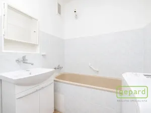 Prodej bytu 2+1, Ostrov, S. K. Neumanna, 64 m2