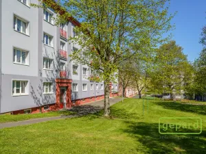 Prodej bytu 2+1, Ostrov, S. K. Neumanna, 64 m2