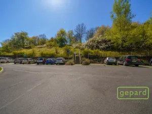 Prodej bytu 2+1, Ostrov, S. K. Neumanna, 64 m2