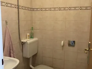Pronájem obchodního prostoru, Brno, Křenová, 456 m2