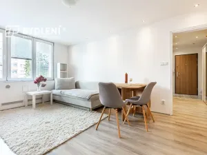 Prodej bytu 1+1, Teplice, Duchcovská, 37 m2
