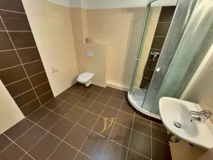 Pronájem bytu 1+kk, Olomouc, Skupova, 31 m2