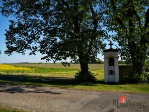 Prodej pozemku pro bydlení, Všejany, 1188 m2